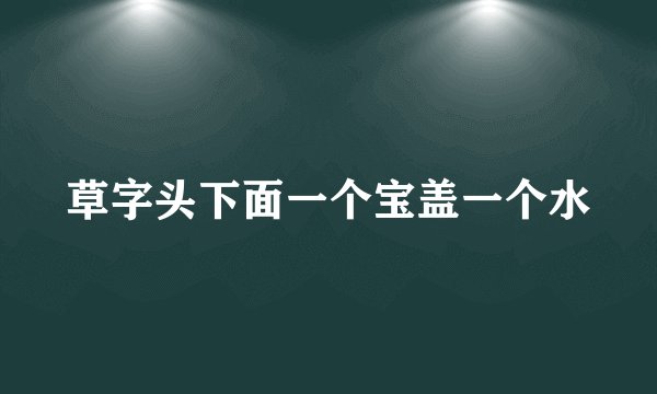 草字头下面一个宝盖一个水