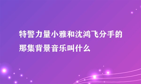 特警力量小雅和沈鸿飞分手的那集背景音乐叫什么