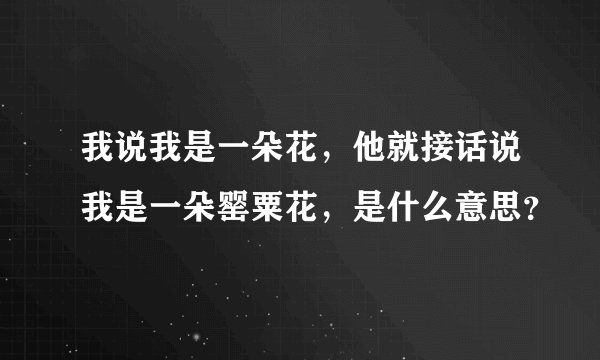 我说我是一朵花，他就接话说我是一朵罂粟花，是什么意思？