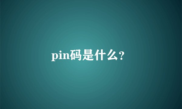 pin码是什么？