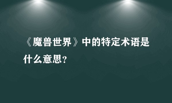 《魔兽世界》中的特定术语是什么意思？