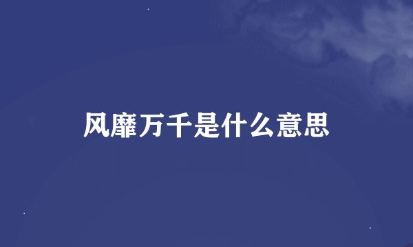 风靡万千是什么意思