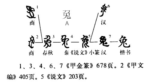 兔字的拼音怎么拼？