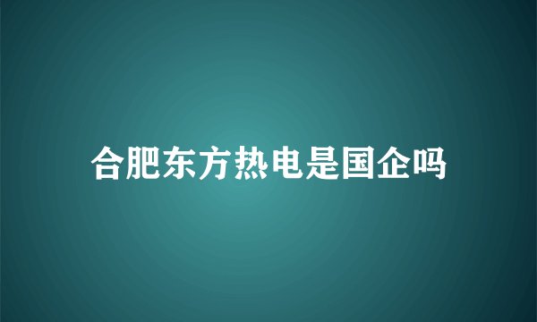 合肥东方热电是国企吗