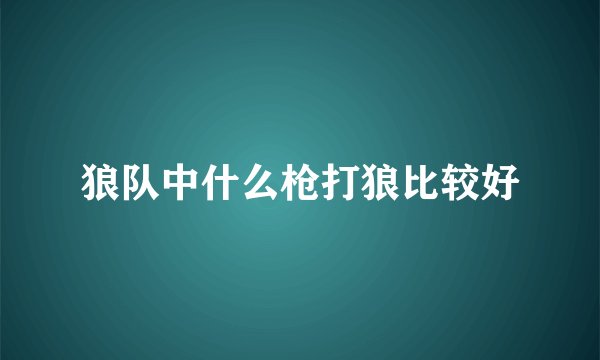 狼队中什么枪打狼比较好