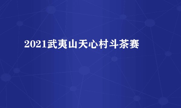 2021武夷山天心村斗茶赛