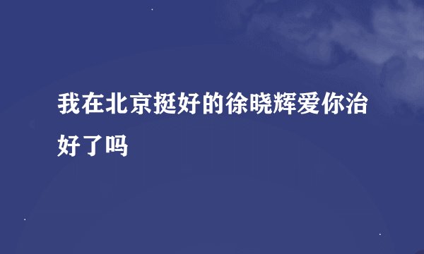 我在北京挺好的徐晓辉爱你治好了吗