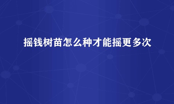摇钱树苗怎么种才能摇更多次