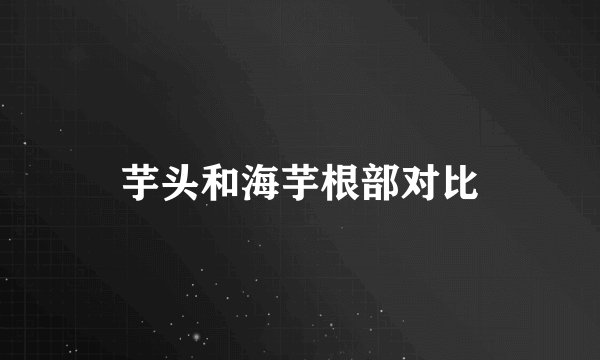 芋头和海芋根部对比