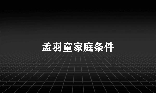 孟羽童家庭条件
