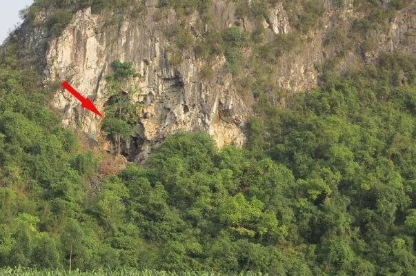 16000年前的人头骨化石，难道世界真是一个循环再生的过程？