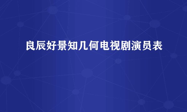 良辰好景知几何电视剧演员表