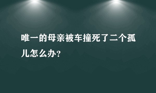 唯一的母亲被车撞死了二个孤儿怎么办？