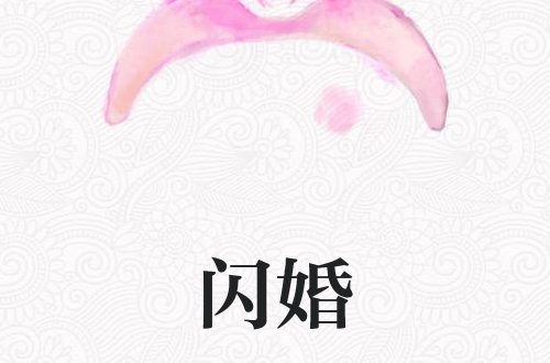 闪婚电视剧大结局
