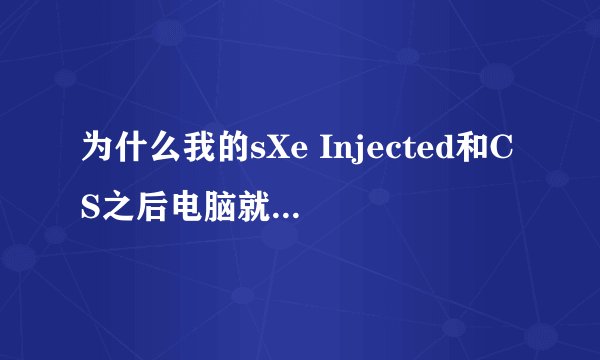 为什么我的sXe Injected和CS之后电脑就说注入游戏系统错误,sXe Injected自动退出