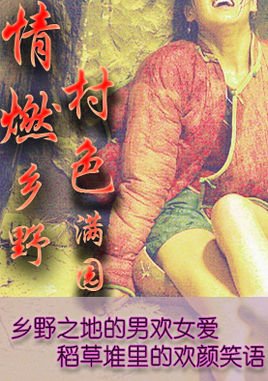 情燃乡野之村色满园的内容简介