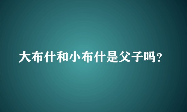 大布什和小布什是父子吗？