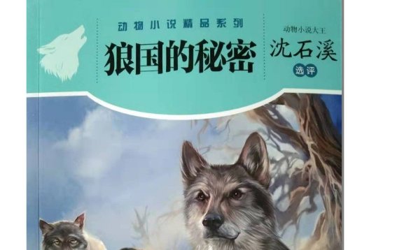 狼国的秘密讲什么内容