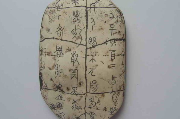 坦字拼音