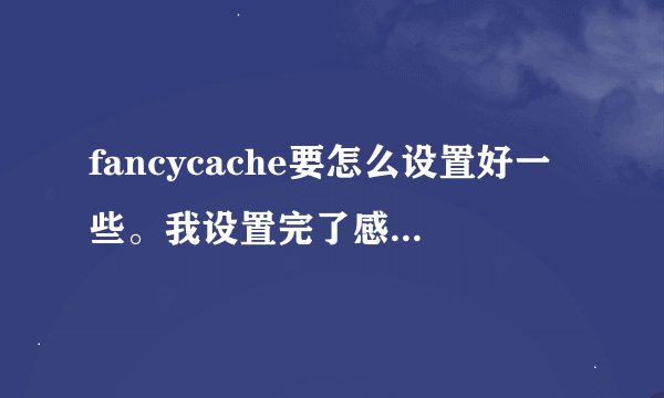 fancycache要怎么设置好一些。我设置完了感觉电脑运行更慢了