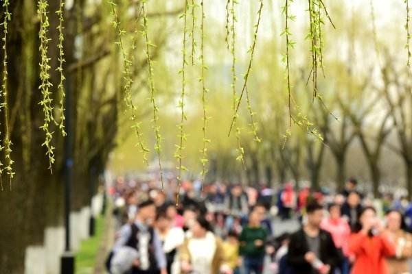 生意盎然的拼音