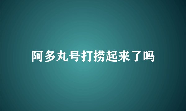 阿多丸号打捞起来了吗