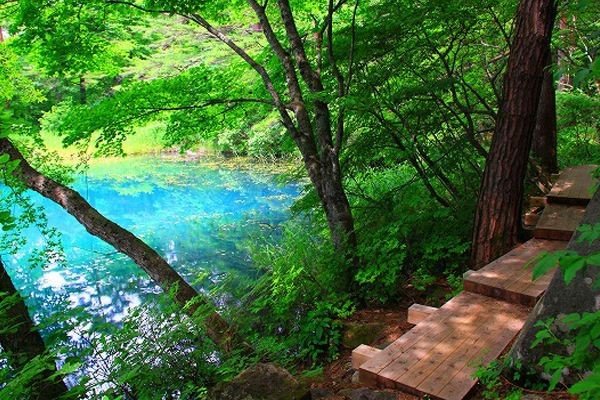 生意盎然的拼音