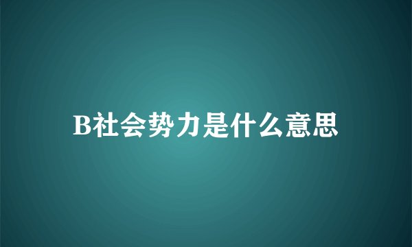 B社会势力是什么意思