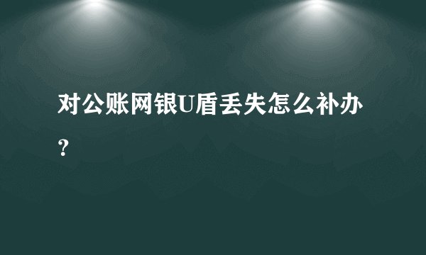 对公账网银U盾丢失怎么补办？
