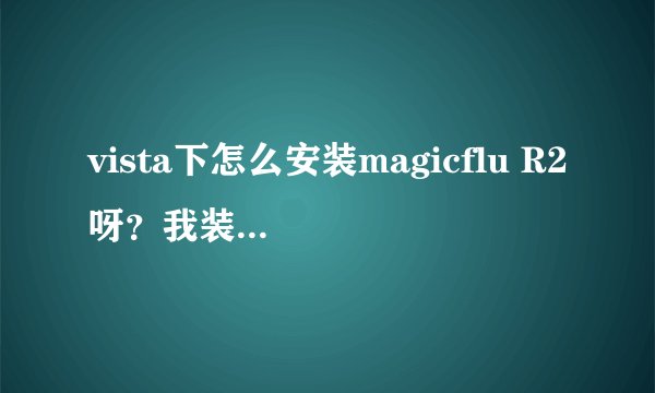 vista下怎么安装magicflu R2呀？我装不上呀？