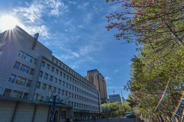 2022年长春金融高等专科学校分数线