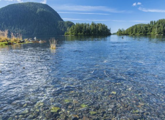 淡水占全球总水量的几分之几？