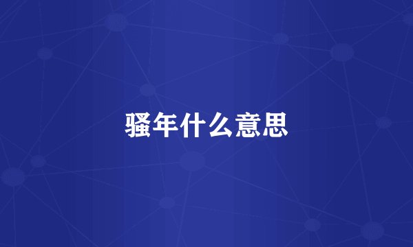 骚年什么意思