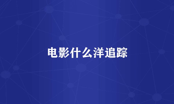 电影什么洋追踪