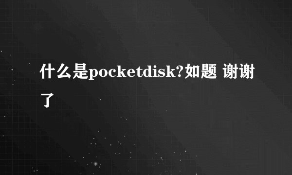 什么是pocketdisk?如题 谢谢了