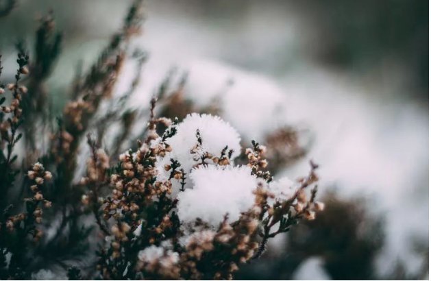 秋已尽冬又来的唯美句子