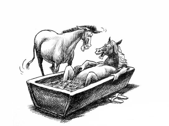 卧槽族的职场现状