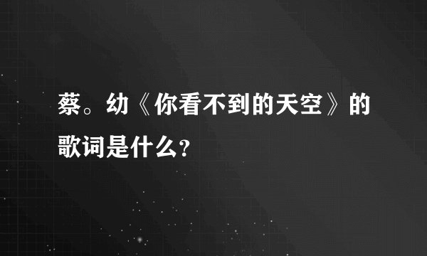 蔡。幼《你看不到的天空》的歌词是什么？