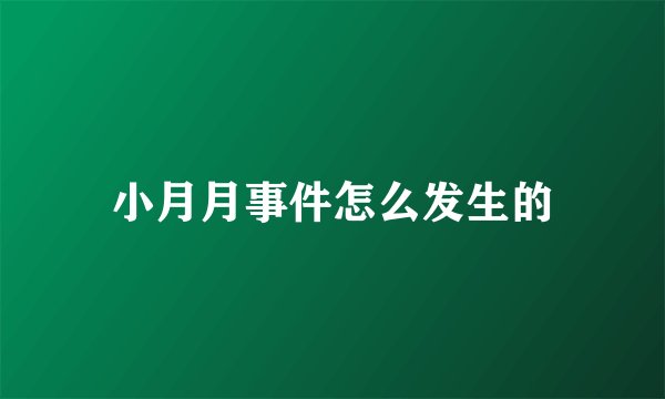 小月月事件怎么发生的