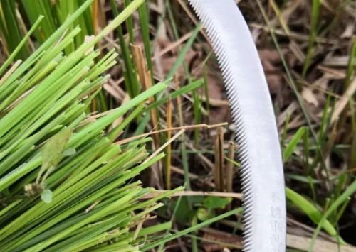 割的组词和拼音