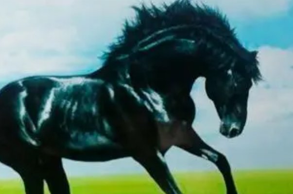 不古不今指形容什么动物