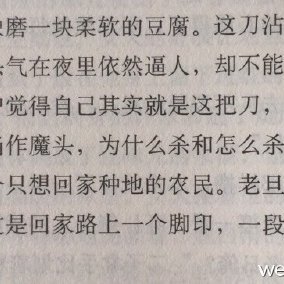 雪夜冰河的主要作品