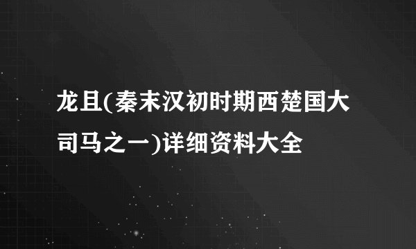龙且(秦末汉初时期西楚国大司马之一)详细资料大全