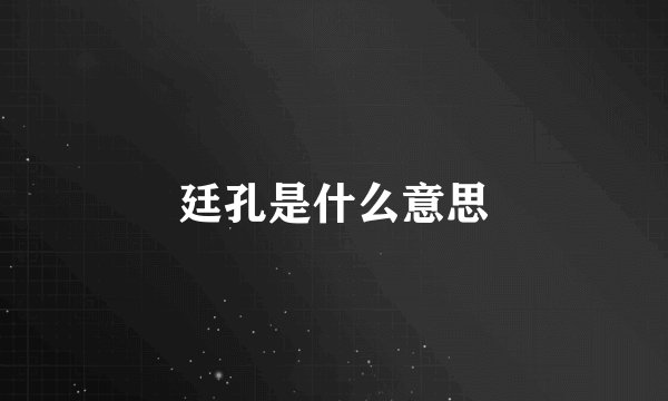 廷孔是什么意思