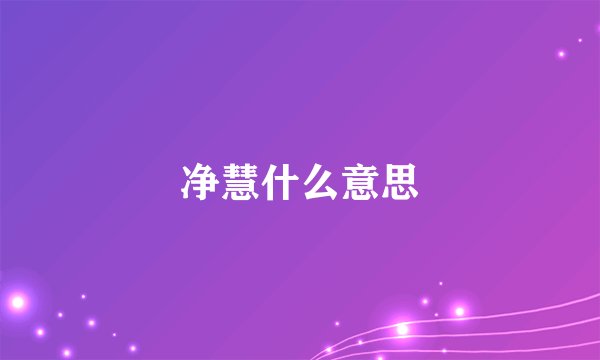净慧什么意思