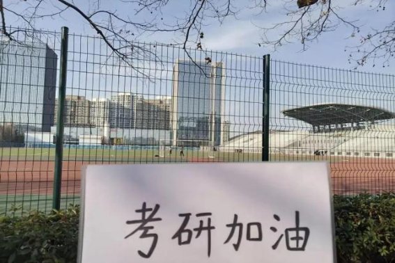 考研报名备用信息填什么