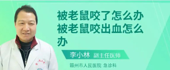 男子熟睡时疑被老鼠咬破头,被老鼠咬到需要打狂犬疫苗吗?