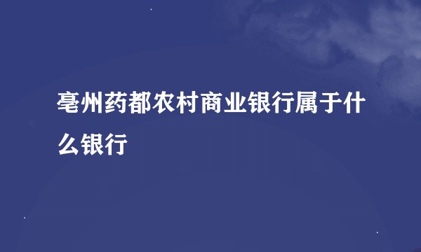 亳州药都农村商业银行属于什么银行