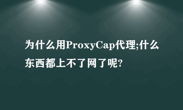 为什么用ProxyCap代理;什么东西都上不了网了呢?