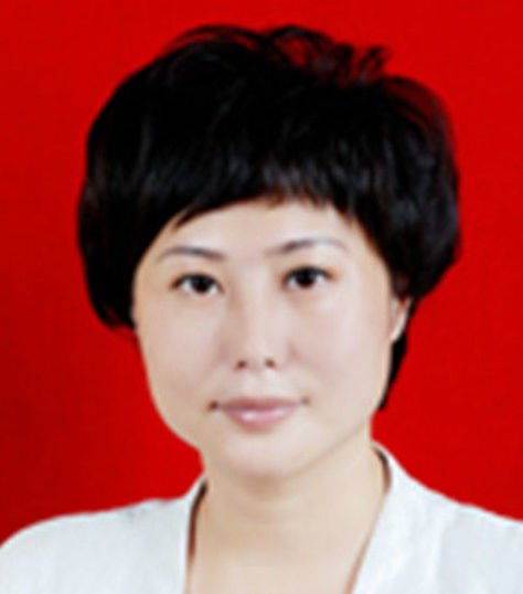 汪红蕾的履历